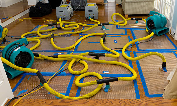 Professional Sewage Cleanup technician working in Youngsville, NC